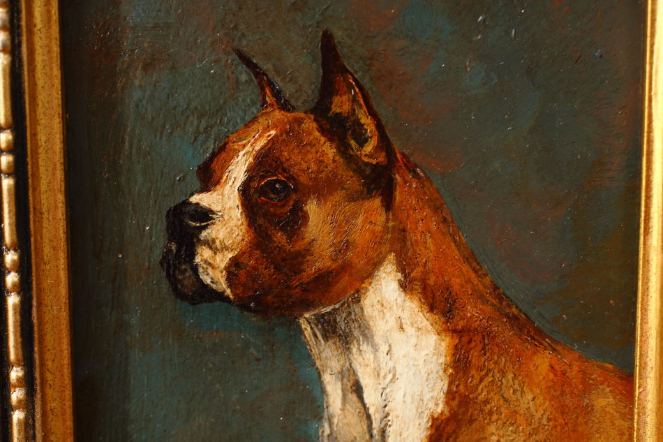 Portrait of a Boxer Dog "TROY" / Oil Painting