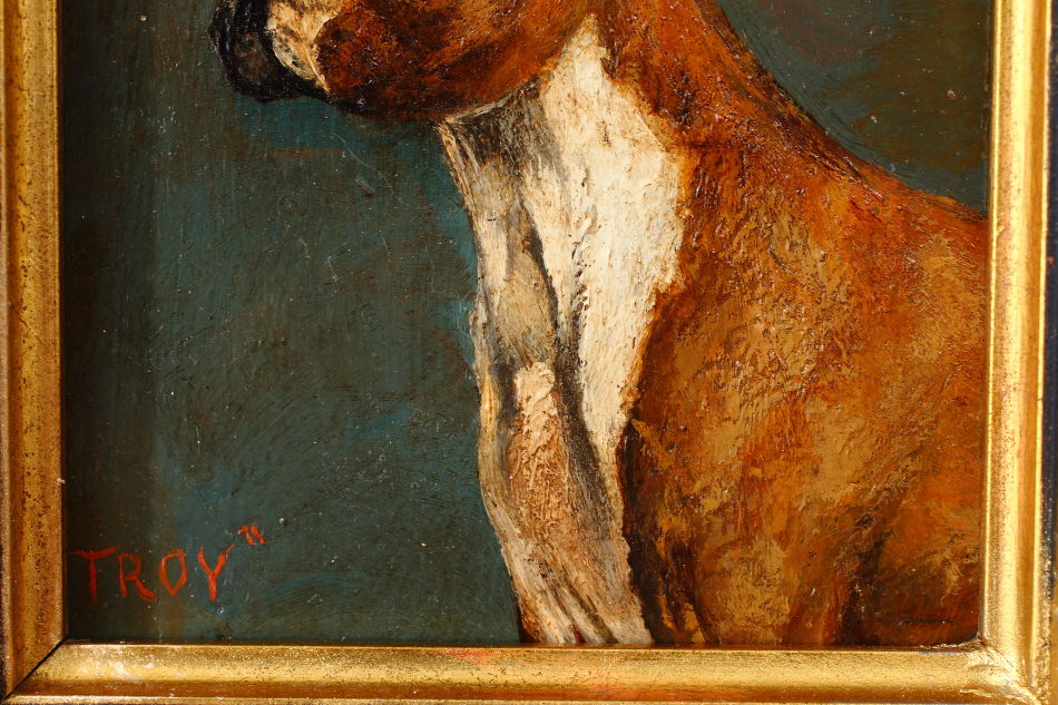 Portrait of a Boxer Dog "TROY" / Oil Painting