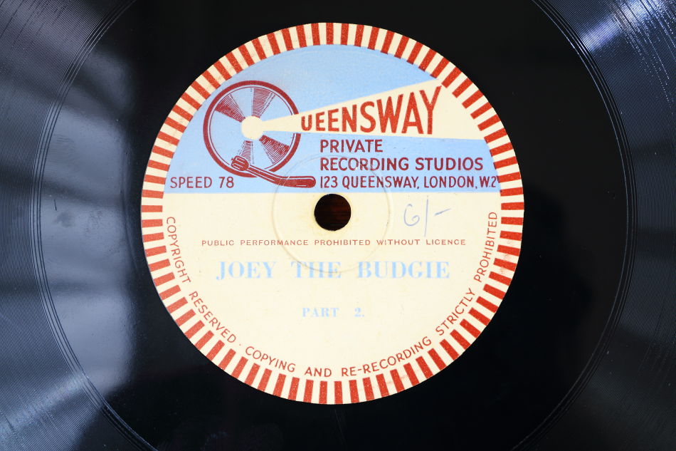 SPレコード盤　10インチ25cm ～JOEY THE BUDGIE～
